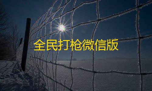 暗区突围pc农场地图全民打枪微信版