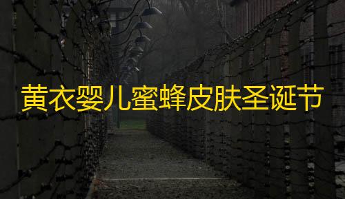 暗区突围辅助网黄衣婴儿蜜蜂皮肤圣诞节正版