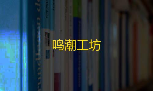 暗区挂锁头透视锁血鸣潮工坊